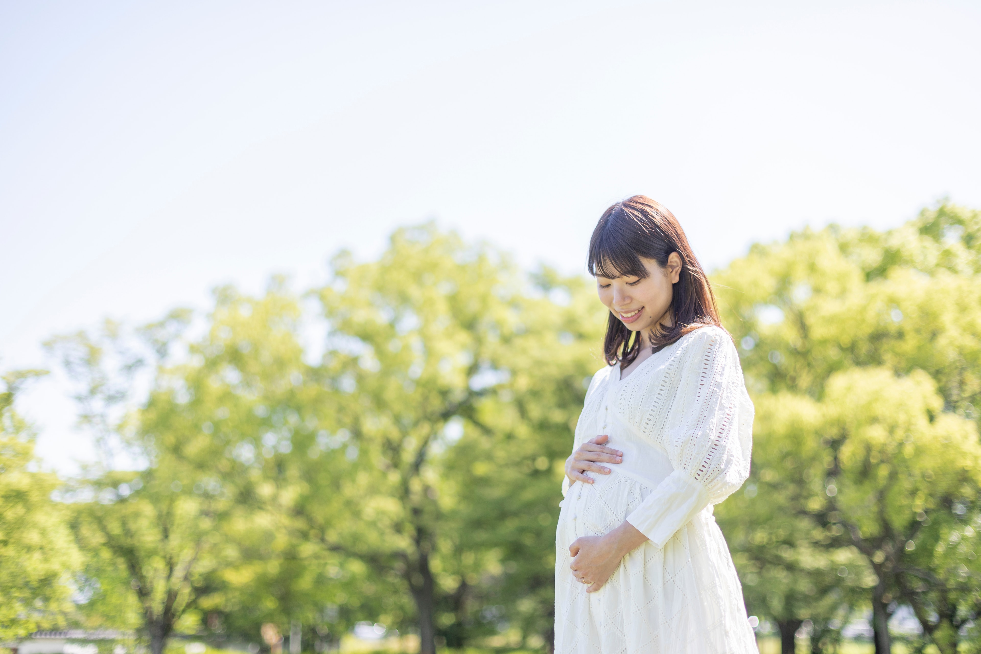 Maternity Book Hero